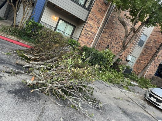 Park 610 Apartment Homes