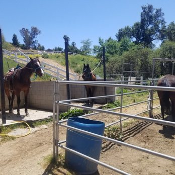 Vin Hesten Trail Rides - Horseback Riding Near Me - Temecula, California