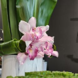 Amazing Flowers