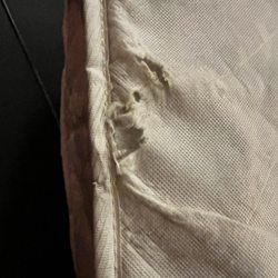 WorldMark La Paloma - Sofa bed mattress in horrible condition