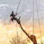 Photo of Baylor's Top Notch Tree Service