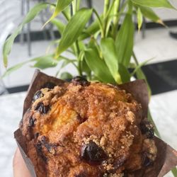Cranberry & orange muffin 10/10; this muffin is BIG, full of flavor, and perfect for a quick breakfast