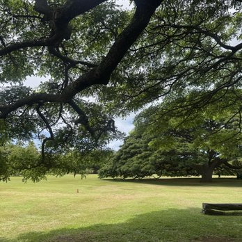 Moanalua Gardens - Paid to touch grass - Parks Near Me - Honolulu, Hawaii Moanalua Gardens - Paid to touch grass - Parks Near Me - Honolulu, Hawaii