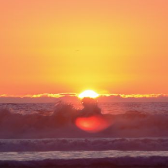 Torrey Pines State Beach - Beaches Near Me - San Diego, California Torrey Pines State Beach - Beaches Near Me - San Diego, California