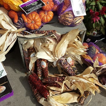 Safeway - Fall Harvest time - Grocery Near Me - Gridley, California