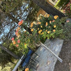 The Purple Orchid Wine Country Resort - Rose Garden