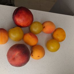 $5.20 for all this fruit. $5.20 for all this fruit.