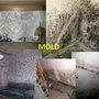 Photo of Specialty Cleaning Services