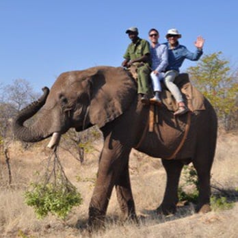 Zoom Vacations - When I was riding this Elephant, the song from Aladdin kept playing in my head. :) - Travel Agents Near Me - Chicago, Illinois
