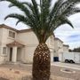 Photo of Tickle My Grass Landscaping & Maintenance