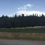Photo of Parco di Travalle