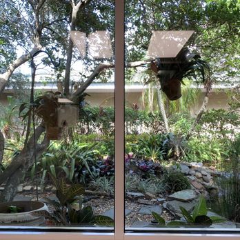 Southpark Dental Group - Outside view from dental chair - Periodontists Near Me - Orlando, Florida
