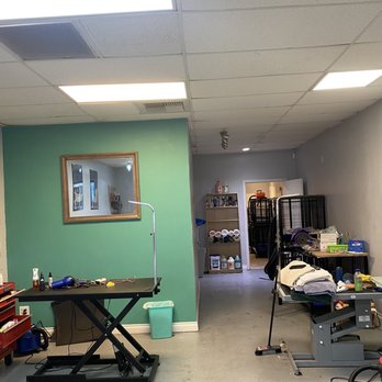 Groomingdale - Store interior - Pet Groomers Near Me - Signal Hill, California