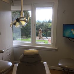 Bakerview Dental Centre - Nice view of Mt. Baker and back yard.