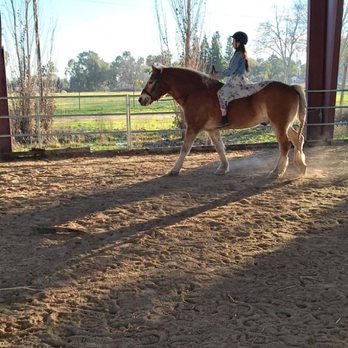 Shamrock Ranch - Ranches Near Me - Roseville, California