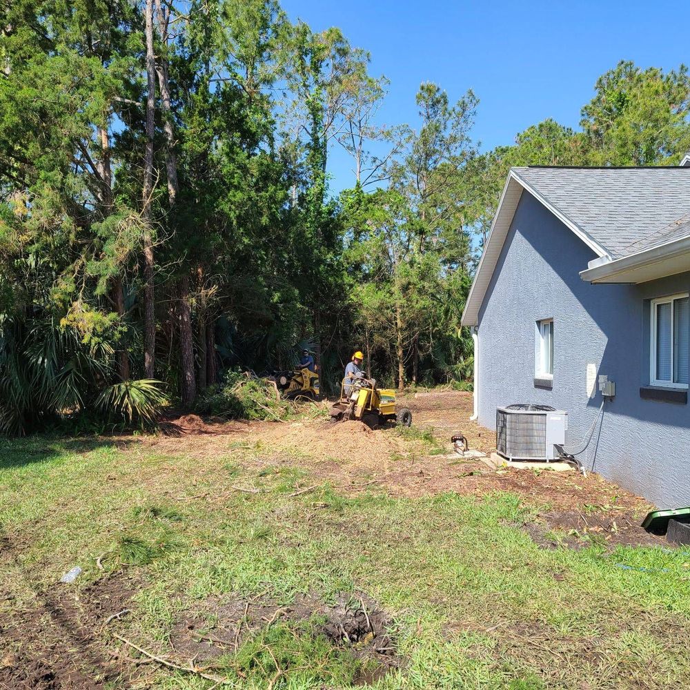 Southern Cuts Tree Service - Tree Services Near Me Southern Cuts Tree Service - Tree Services Near Me