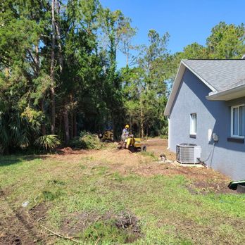 Southern Cuts Tree Service - Tree Services Near Me Southern Cuts Tree Service - Tree Services Near Me