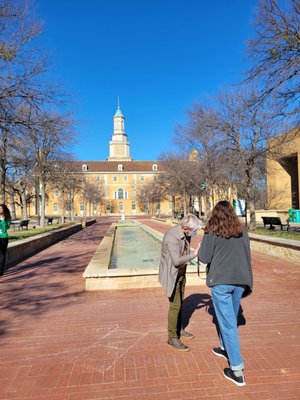 University of North Texas by null