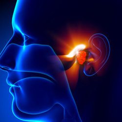 McKinney Ear Nose & Throat Clinic