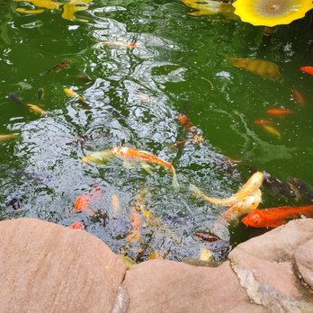Garfield Park Conservatory - Parks Near Me - Chicago, Illinois