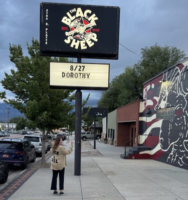 The Black Sheep by null