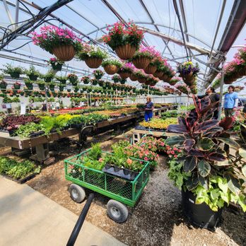 Willow Greenhouse - Another greenhouses - Nurseries & Gardening Near Me - Northville, Michigan Willow Greenhouse - Another greenhouses - Nurseries & Gardening Near Me - Northville, Michigan