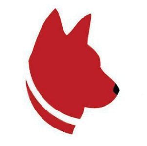 Kindred Canine, LLC - pet boarding facility in Denver, CO