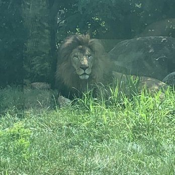 Franklin Park Zoo - Zoos Near Me - Boston, Massachusetts Franklin Park Zoo - Zoos Near Me - Boston, Massachusetts