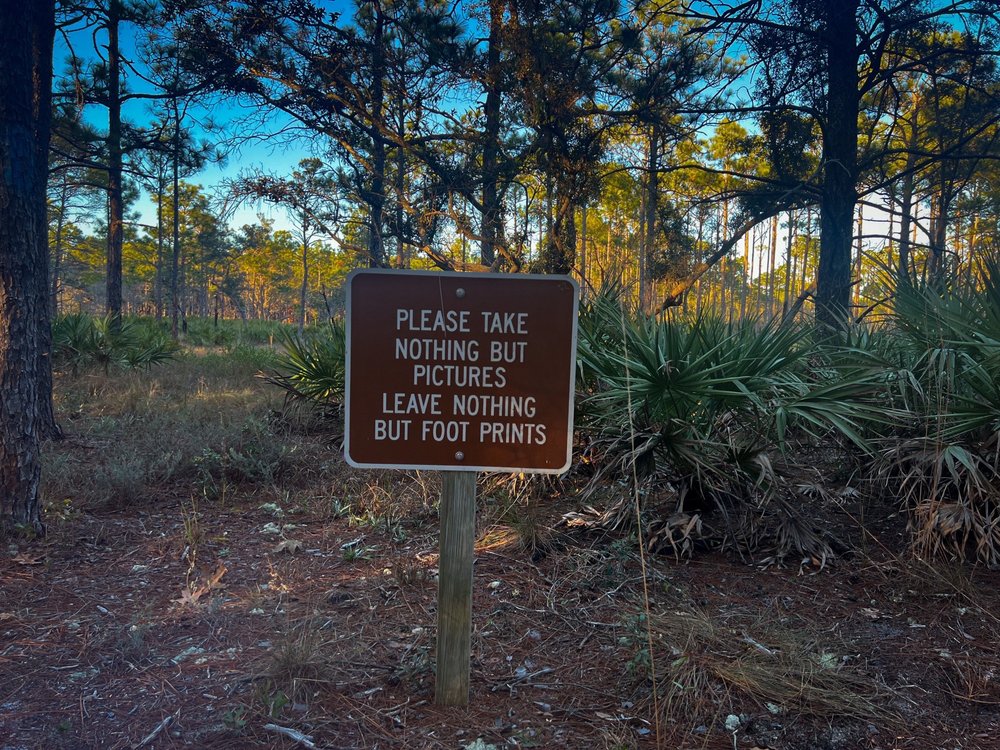 Flatwoods Trail Image