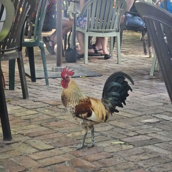 Blue Heaven - Dinner with friends! - Breakfast & Brunch Near Me - Key West, Florida