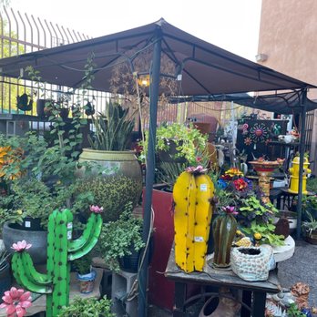 Ruggiero's Ace Hardware - Part of the garden area. - Hardware Stores Near Me - Phoenix, Arizona