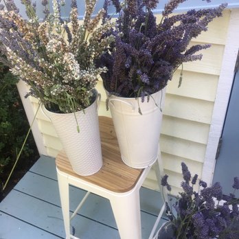 Lavender Hill Farm - Vacation Rentals Near Me - Vashon, Washington Lavender Hill Farm - Vacation Rentals Near Me - Vashon, Washington