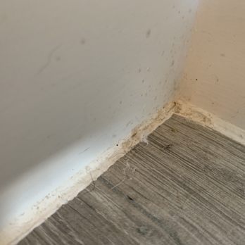 Kiwi Services - Carpet Cleaning Near Me - Dallas, Texas Kiwi Services - Carpet Cleaning Near Me - Dallas, Texas