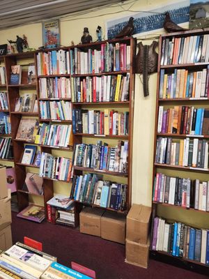 The Secret Book and Record Store by null