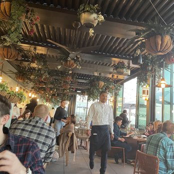 Terra - Italian Near Me - Santa Clara, California