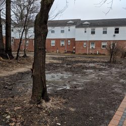 Haddon Hills Apartments - Haddon Hills really nailed the WW2 no man's land aesthetic once new management took over.