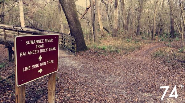 Suwannee River State Park by null