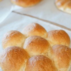 Art House Bakery