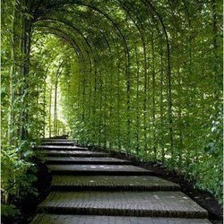 The bees are located in an absolutely beautiful area