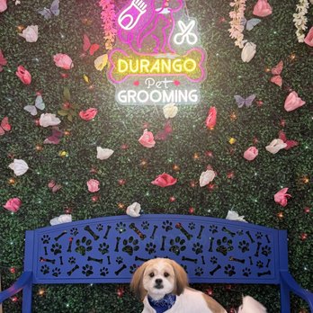 Durango Pets Grooming - Drago and Durango Grooming - Pet Groomers Near Me - Balch Springs, Texas Durango Pets Grooming - Drago and Durango Grooming - Pet Groomers Near Me - Balch Springs, Texas