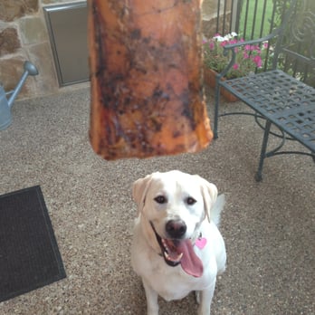 Legacy Labradors - mckinley loves his bones - Pet Breeders Near Me - Terrell, Texas Legacy Labradors - mckinley loves his bones - Pet Breeders Near Me - Terrell, Texas
