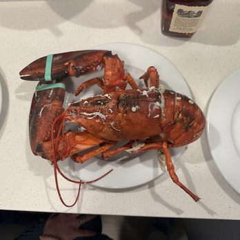 SF Supermarket - 3 Lb Lobster I Cooked For My Valentine! - International Grocery Near Me - Fresno, California SF Supermarket - 3 Lb Lobster I Cooked For My Valentine! - International Grocery Near Me - Fresno, California