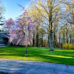 Cornwall House lawn