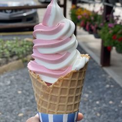 Bush-N-Vine Farm - Strawberry swirl ice cream