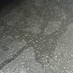 Wanda Coach - Wet floor