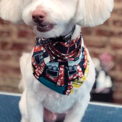 Beautiful Fabrics - We Use their fabrics to make bandannas for our grooming clients