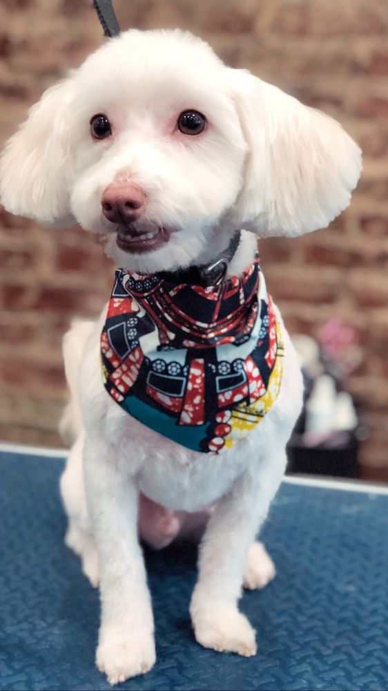 BEAUTIFUL FABRICS 13 Photos & 12 Reviews Fabric Stores 1071