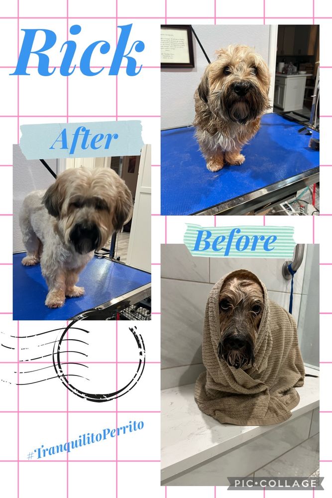 Seki’s Paws - pet boarding facility in Bridgeport, TX