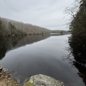Pachaug State Forest - Green Falls Area - Green Pond - Parks Near Me - Voluntown, Connecticut Pachaug State Forest - Green Falls Area - Green Pond - Parks Near Me - Voluntown, Connecticut