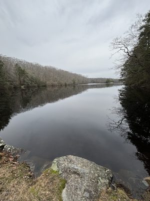Pachaug State Forest by null